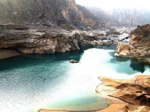 枸杞可以和茶叶一起泡水喝吗(绿茶加枸杞泡水好吗)